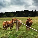 Bergblick ヴィンターベルク