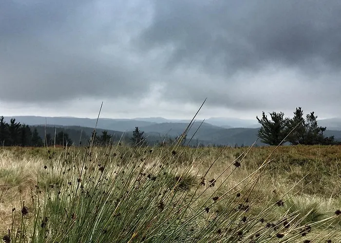 Lägenhet Bergblick *