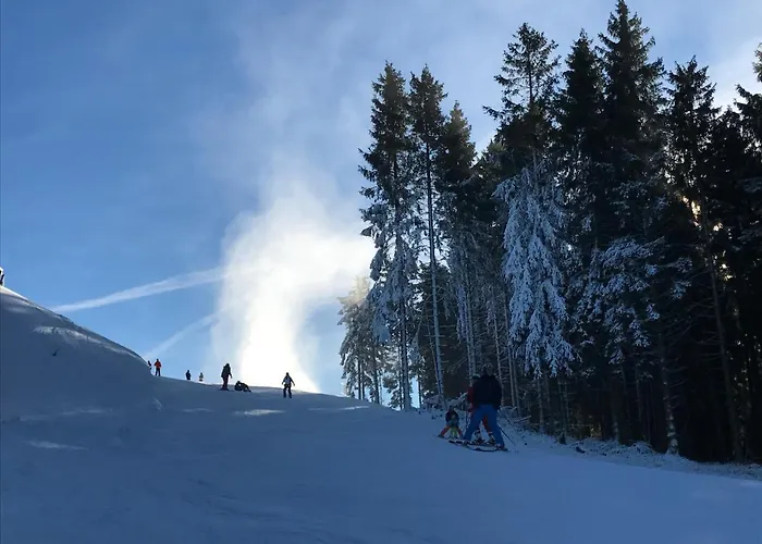 Lägenhet Bergblick Winterberg